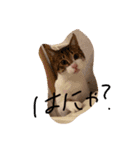 もずちぽんち（個別スタンプ：8）