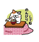 毎日モフねこ3（個別スタンプ：1）