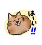 毎日モフねこ3（個別スタンプ：9）