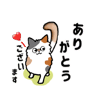 毎日モフねこ3（個別スタンプ：10）