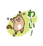 毎日モフねこ3（個別スタンプ：11）