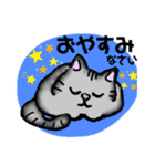 毎日モフねこ3（個別スタンプ：13）