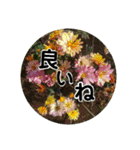 kyoko115  冬の花だより（個別スタンプ：31）