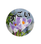 kyoko115  冬の花だより（個別スタンプ：39）
