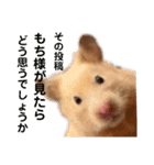 キンクマハムスターのもち様（個別スタンプ：3）
