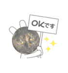 すみのスタンプ・1（個別スタンプ：1）