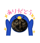 すみのスタンプ・1（個別スタンプ：4）