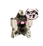 すみのスタンプ・1（個別スタンプ：14）