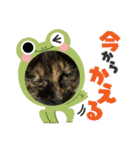 すみのスタンプ・1（個別スタンプ：20）