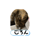 すみのスタンプ・1（個別スタンプ：24）
