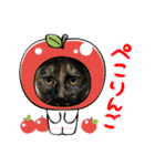 すみのスタンプ・1（個別スタンプ：26）