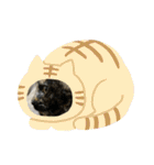 すみのスタンプ・1（個別スタンプ：36）
