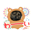 すみのスタンプ・1（個別スタンプ：37）