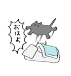 ゃこねこ（個別スタンプ：1）