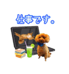グラン君 1（個別スタンプ：5）