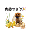 グラン君 1（個別スタンプ：12）