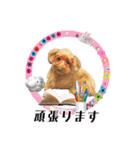 グラン君 1（個別スタンプ：13）