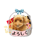グラン君 1（個別スタンプ：16）