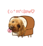 グラン君 1（個別スタンプ：19）