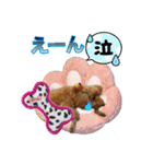グラン君 1（個別スタンプ：28）