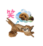 グラン君 1（個別スタンプ：30）