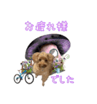 グラン君 1（個別スタンプ：33）