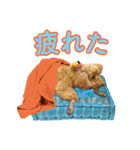 グラン君 1（個別スタンプ：34）