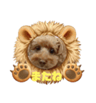 グラン君 1（個別スタンプ：38）
