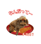 グラン君 1（個別スタンプ：40）