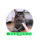 ガッシーねこーず39にゃんシリーズ②（個別スタンプ：14）