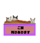 てばさんのスタンプ家族用ご飯編（個別スタンプ：2）