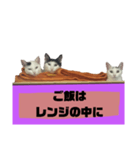 てばさんのスタンプ家族用ご飯編（個別スタンプ：4）
