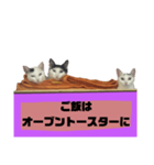 てばさんのスタンプ家族用ご飯編（個別スタンプ：5）