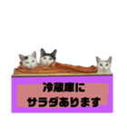 てばさんのスタンプ家族用ご飯編（個別スタンプ：6）