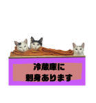 てばさんのスタンプ家族用ご飯編（個別スタンプ：7）
