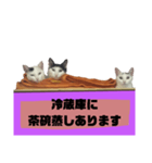 てばさんのスタンプ家族用ご飯編（個別スタンプ：8）