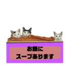 てばさんのスタンプ家族用ご飯編（個別スタンプ：9）