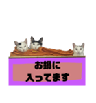 てばさんのスタンプ家族用ご飯編（個別スタンプ：10）