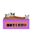 てばさんのスタンプ家族用ご飯編（個別スタンプ：11）