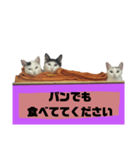 てばさんのスタンプ家族用ご飯編（個別スタンプ：12）