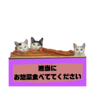 てばさんのスタンプ家族用ご飯編（個別スタンプ：13）