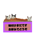 てばさんのスタンプ家族用ご飯編（個別スタンプ：14）