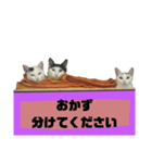 てばさんのスタンプ家族用ご飯編（個別スタンプ：15）
