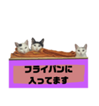 てばさんのスタンプ家族用ご飯編（個別スタンプ：16）