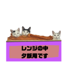 てばさんのスタンプ家族用ご飯編（個別スタンプ：17）