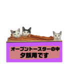 てばさんのスタンプ家族用ご飯編（個別スタンプ：18）
