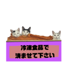 てばさんのスタンプ家族用ご飯編（個別スタンプ：19）