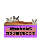 てばさんのスタンプ家族用ご飯編（個別スタンプ：21）