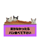 てばさんのスタンプ家族用ご飯編（個別スタンプ：22）