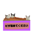 てばさんのスタンプ家族用ご飯編（個別スタンプ：24）